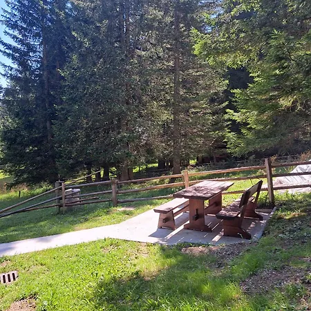 Brina Pokljuka Holiday home *