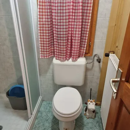 Holiday home Brina Pokljuka