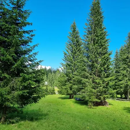 Holiday home Brina Pokljuka Zgornje Gorje