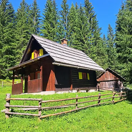 Brina Pokljuka Holiday home *
