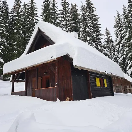 Brina Pokljuka * Zgornje Gorje
