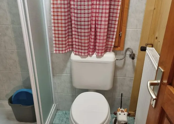 Vakantiehuis Brina Pokljuka