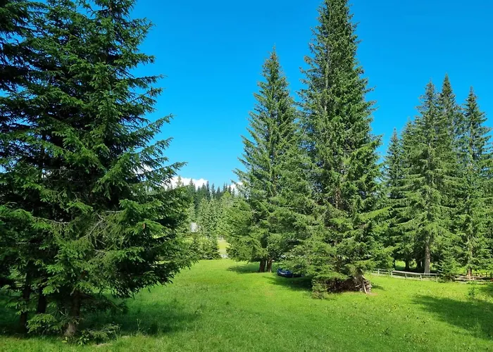Vakantiehuis Brina Pokljuka Zgornje Gorje