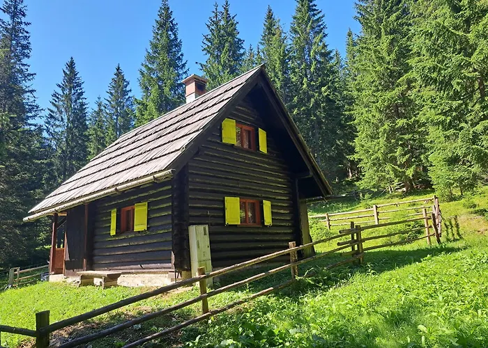 Brina Pokljuka